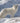 Arctic Fox in the Snow