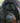 Portrait of an Orangutan