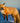 Fox at Dawn