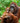 Orangutan Mother and Child
