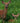 Mother Deer Showing Her Fawn the World