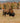 Buffalo at Home on the Range
