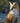 Mr. Fox Takes Stock