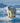 Polar Bear on Melting Glacier