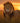 Lion at Sunset