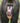 Mandrill on a Mission
