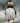 Atlantic Puffin on the Rocks