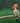 This Hoopoe Is in a Mood
