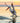 Dalmatian Pelican Landing at Sunset
