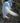 The Stillness of the Great Egret