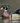 Wood Duck on the Water