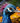 The Colors of a Peafowl