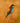 The Colorful European Bee-Eaters