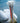 Punk Rocker Dalmatian Pelican
