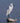 Little Egret on a Rock