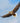 White-Tailed Eagle in Full Flight