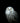 Snowy Owl, An Arctic Hunter