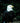 Bald Eagle Perching