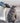 Penguin Parent and Chick
