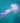 Jellyfish Floating
