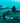 Dolphins