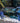 Atlantic Blue Crab