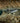 Shark in the Hunting Ground