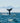 Deep Dive of a Whale