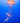 Sea Nettle Jellyfish