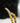 Garden Eels
