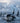 Orca Pod On the Move
