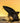 Breaching Shark at Sunset