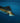 The Speedy Swordfish