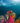 Coral Reef A’Bloom