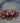 Sally Lightfoot Crab in a Puddle