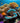 Magical Coral Reef
