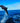 Dolphin in Sea Foam