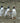 March of the Penguins