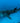 Whale Shark Gliding in the Deep