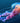 Jellyfish Goes with the Flow