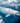 Reflection of a Beluga Whale