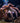 Octopus, Eight Arms of Genius