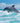 Dolphin Jumping Waves