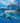 Dolphin Pod Swimming