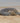 Sea Turtle