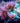 Sea Anemone Garden