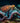 Octopus with Superpowers