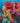 Coral Reef of Plenty