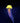 Mysterious Jellyfish
