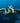 The Solitary Sea Turtle